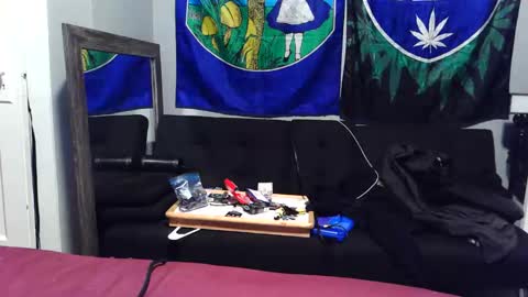 Panda baby online show from January 17, 2:32 am