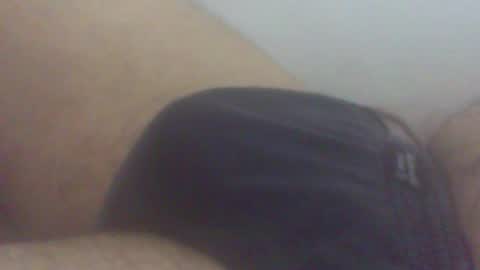 pol2023 online show from April 4, 8:16 pm