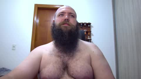Bear online show from February 4, 2:17 am