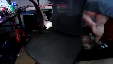 porkdaddy online show from April 29, 8:57 pm