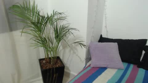 power_love_lemon online show from December 2, 12:25 pm