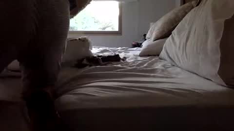 ppsmall_17 online show from March 27, 11:11 am