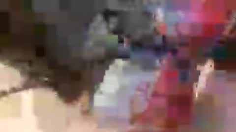 prettycock1981 online show from July 5, 9:49 am