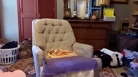 Snapshot of professorspanky chatting on January 27, 5:04 pm professorspanky online show from January 27, 5:04 pm