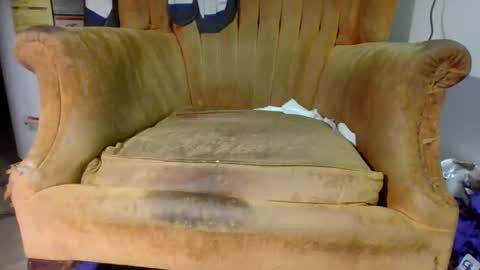 pspee313 online show from November 1, 11:15 pm