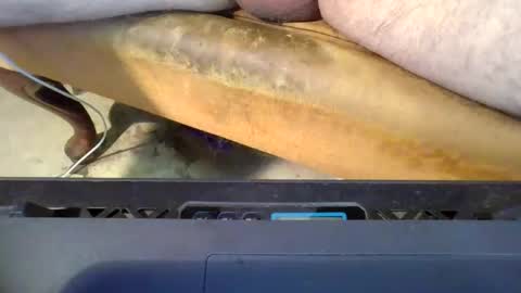 pspee313 online show from November 17, 12:02 am