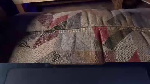 Pugnax online show from February 25, 1:36 pm