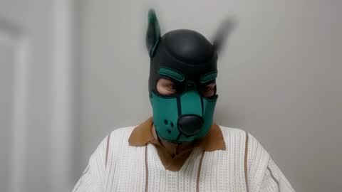 Pup Kori online show from June 13, 4:01 am