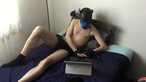 Toby online show from November 5, 11:12 am