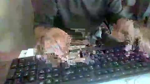 Snapshot of pup_y chatting on September 17, 2:53 pm pup_y online show from September 17, 2:53 pm