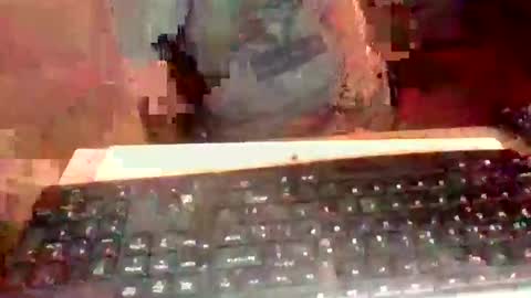 Snapshot of pup_y chatting on September 19, 7:06 pm pup_y online show from September 19, 7:06 pm