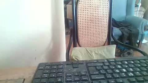 pup_y online show from February 9, 9:35 am