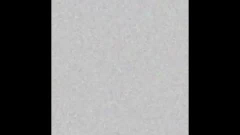 pupchevron online show from November 13, 9:45 am