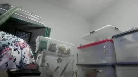 PupGhostt online show from December 19, 12:22 pm