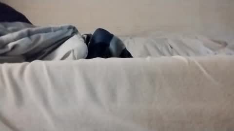 queloxo online show from November 13, 6:38 am