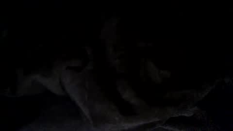 quincy joy11 online show from March 2, 7:15 am