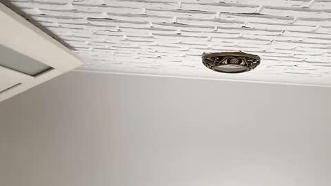 radu508 online show from September 23, 6:47 pm