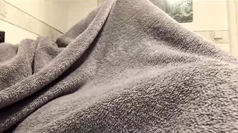 ranj00800 online show from April 3, 4:58 pm