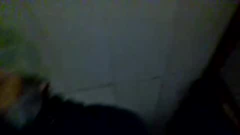 raybob252000 online show from November 10, 8:00 pm