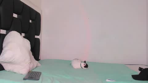 Rayn online show from October 21, 8:52 am