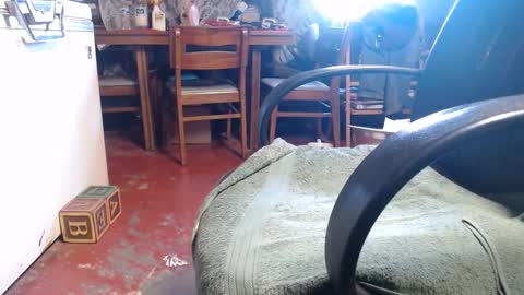 Ray online show from January 4, 2:04 pm