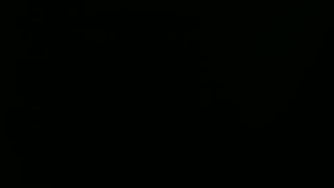 Ray online show from January 1, 9:20 pm