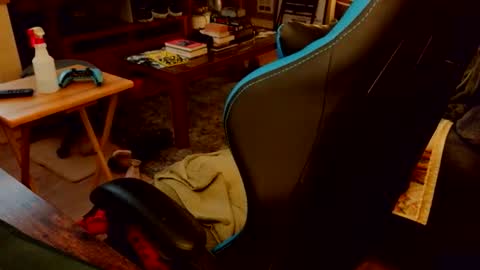 red_sea_bear online show from April 19, 4:24 am