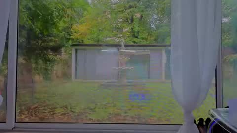 reina cummings online show from October 6, 7:37 am