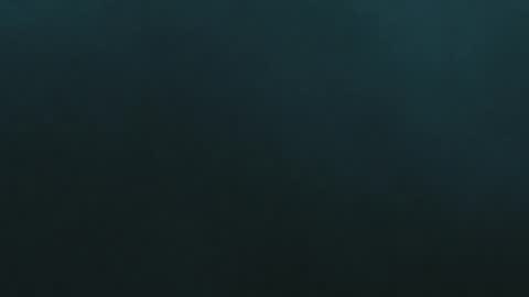 renascentpro online show from October 23, 9:44 am