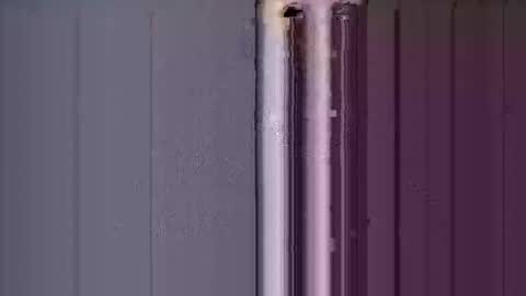 ReneIce online show from January 15, 7:11 pm