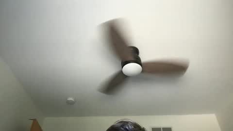 Ryan online show from October 5, 4:03 pm