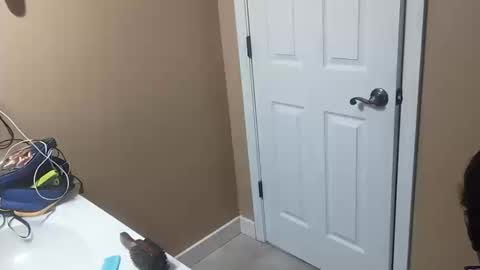 richiej04 online show from October 15, 1:56 pm