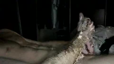 Rick online show from November 20, 10:29 pm