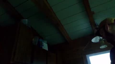 ripperusa33 online show from October 25, 6:52 pm