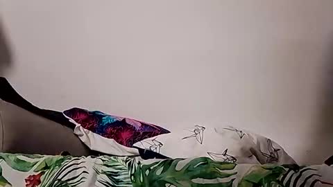 Zenek online show from November 26, 5:16 am