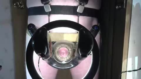 Robodickmilker online show from February 1, 8:18 am