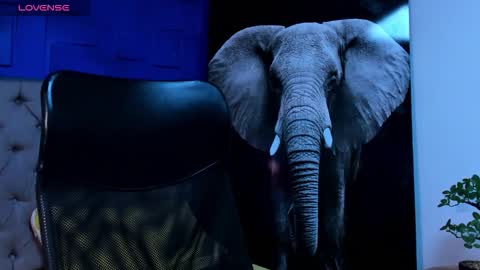 rocco_santos online show from October 11, 3:22 am