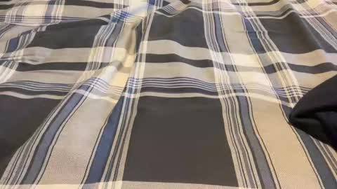 Rock Hard Cock online show from October 7, 9:33 pm