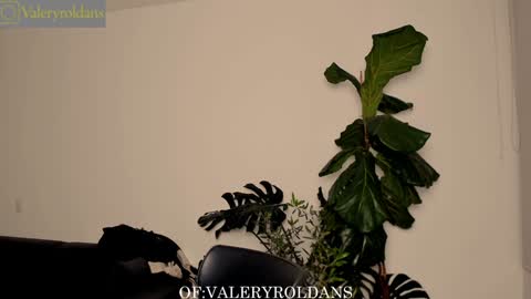 Snapshot of roldansvalery chatting on February 4, 3:44 am Valery Roldans online show from February 4, 3:44 am
