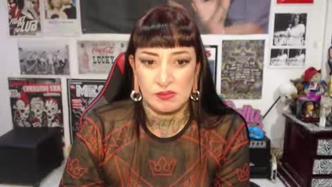 Rolly online show from February 2, 10:06 pm