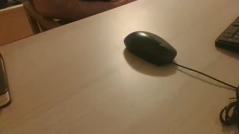 roridory online show from November 6, 9:51 pm