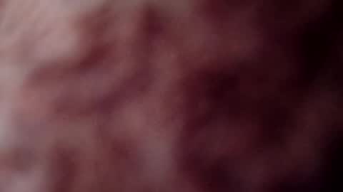 rose12161216 online show from November 3, 3:13 pm