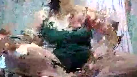 rose_marie2025 online show from October 1, 10:58 am