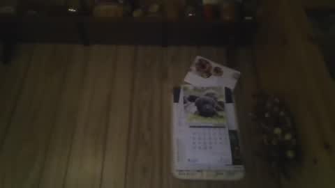 roses2u1958 online show from January 1, 8:04 pm