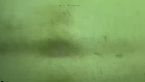 Rupali online show from November 18, 3:42 am