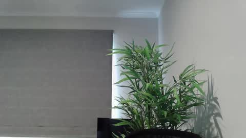 Ryan online show from January 14, 11:57 pm