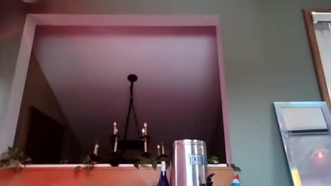 Ryyypieee online show from March 1, 4:11 pm