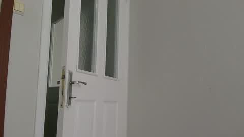 s2ici online show from October 21, 9:25 am