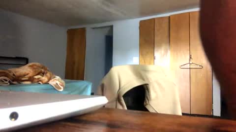 saasbutt online show from October 2, 8:40 pm