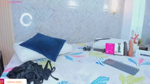 Sabrina Shark online show from November 22, 3:16 am